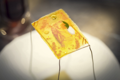 chefdays-de-2019-tag-1-033