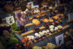 chefdays-de-2019-tag-1-253