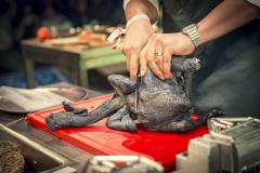 chef-day-de-dienstag-2018048