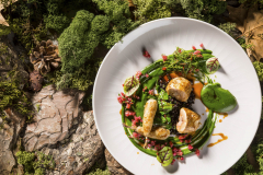 chef-day-de-dienstag-2018185