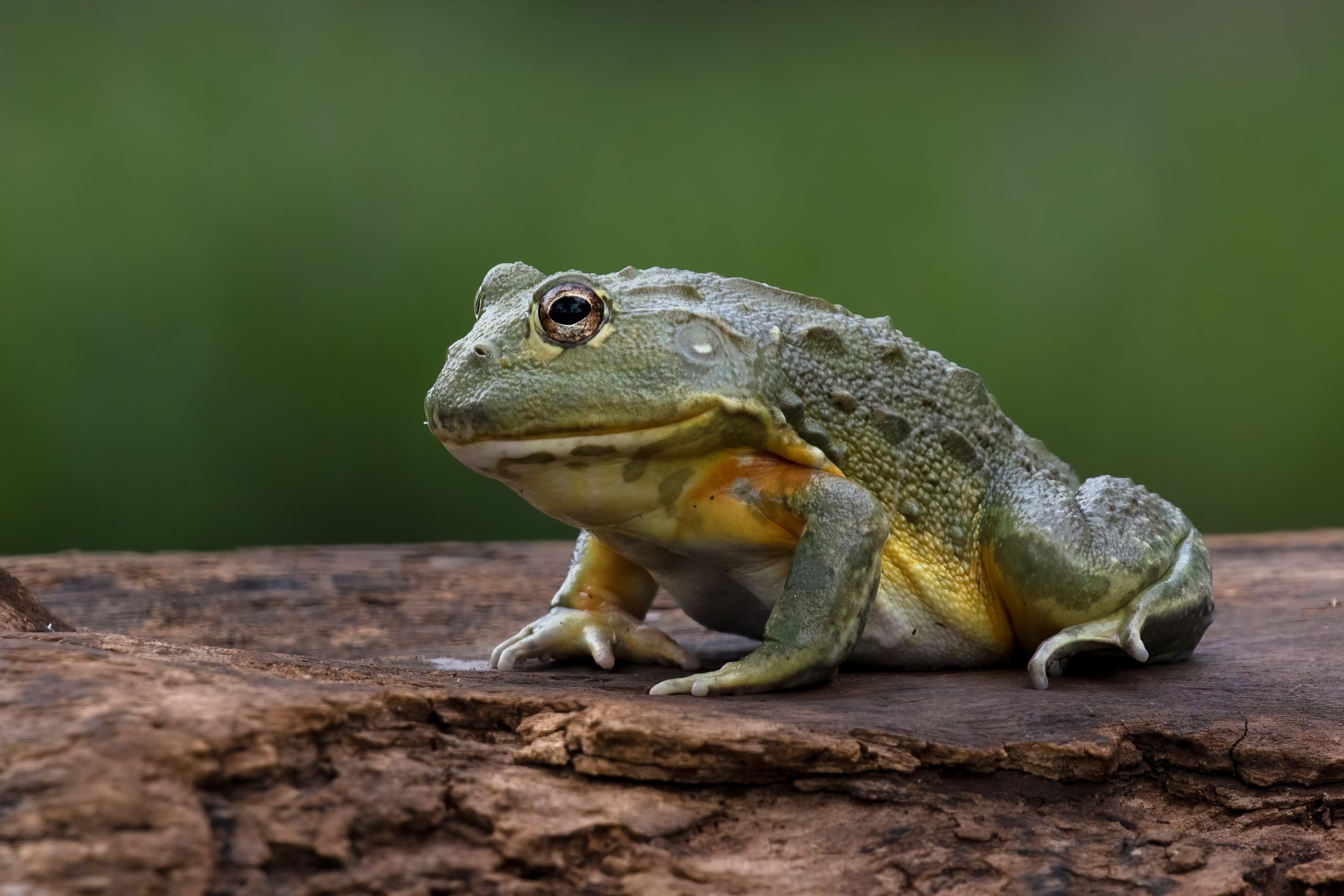 shutterstock_2091328642-scaled