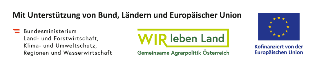 Bild5