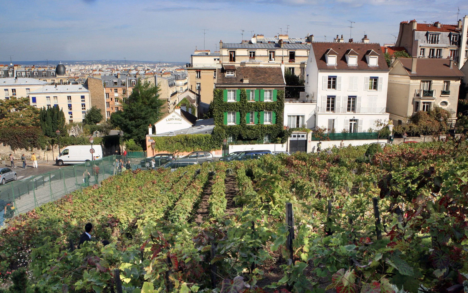 paris-wine