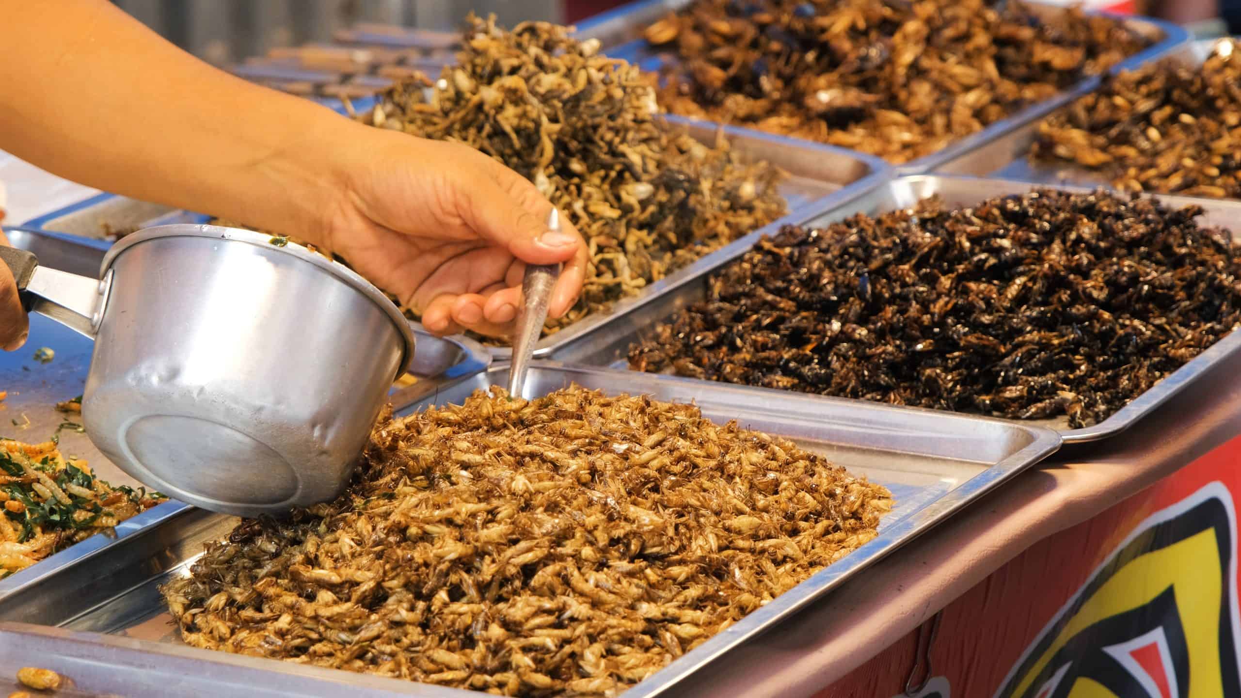 In einigen Ländern gelten (frittierte) Insekten als Delikatesse | Foto: Shutterstock