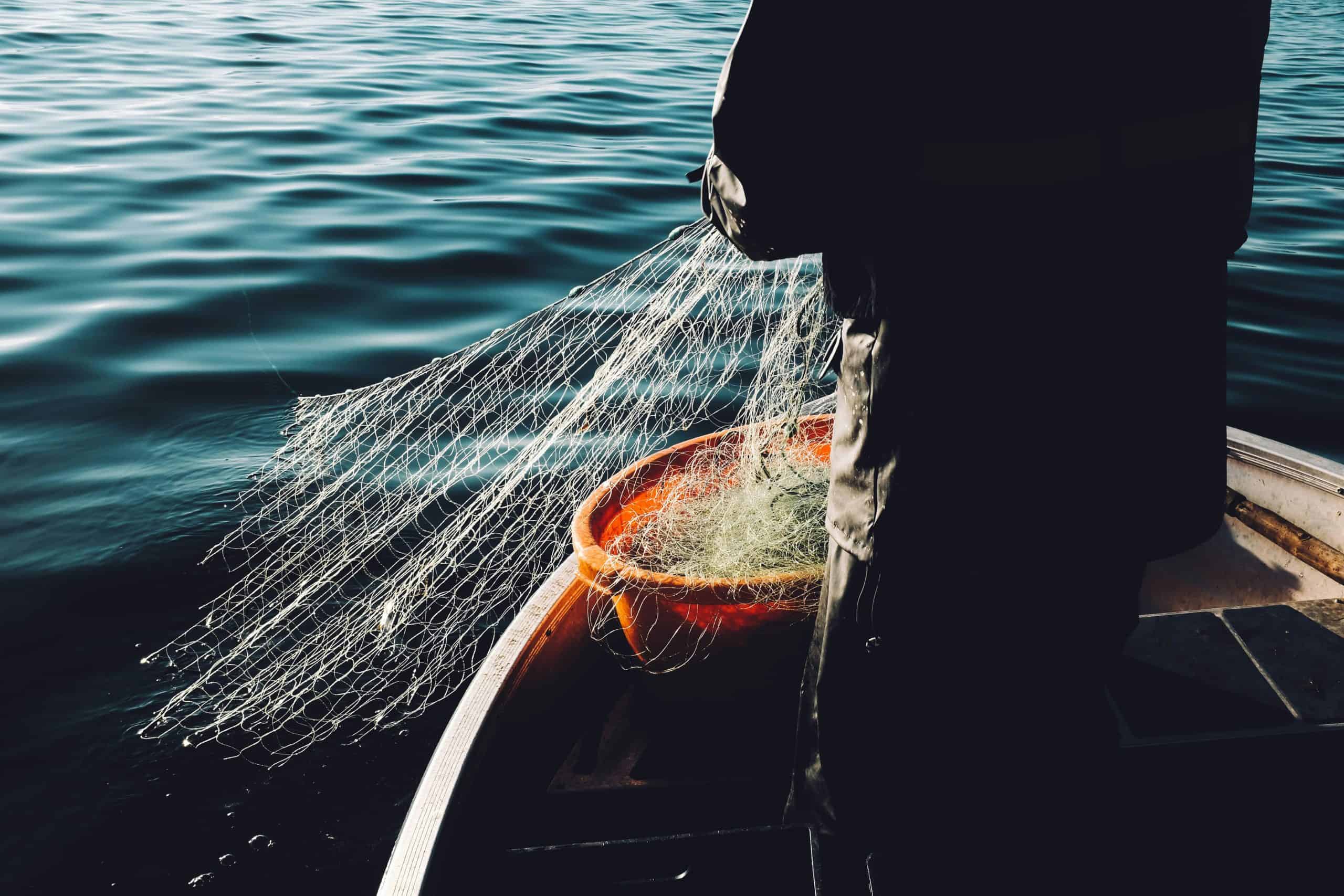 Mann auf Fischerboot fängt mit Fischernetz Lachs